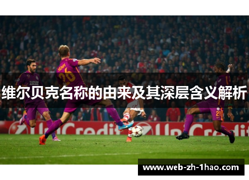 维尔贝克名称的由来及其深层含义解析