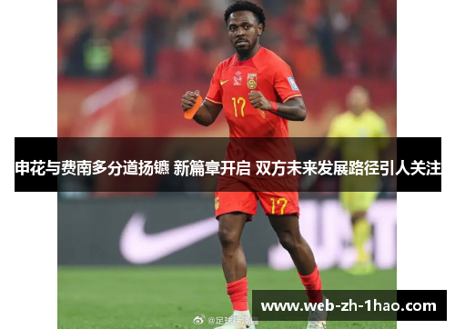 申花与费南多分道扬镳 新篇章开启 双方未来发展路径引人关注 申花与费南多分道扬镳 新篇章开启 双方未来发展路径引人关注