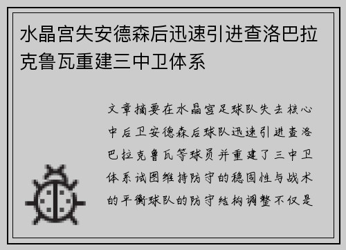 水晶宫失安德森后迅速引进查洛巴拉克鲁瓦重建三中卫体系